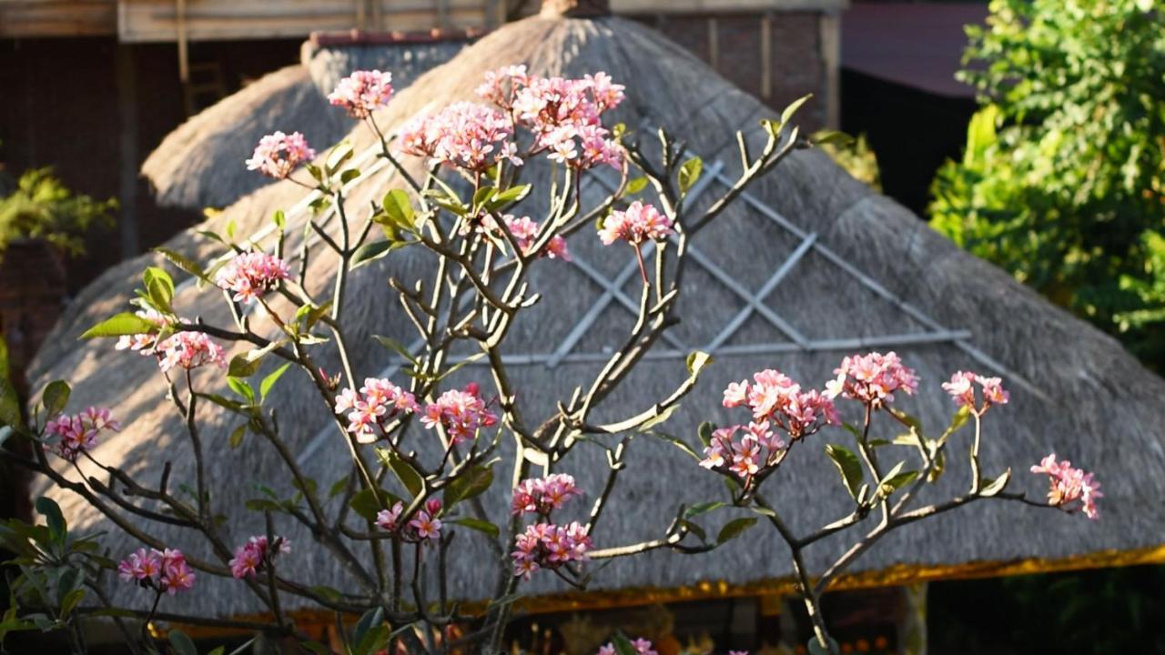 Manzelejepun & Pavilion Hotel Sanur